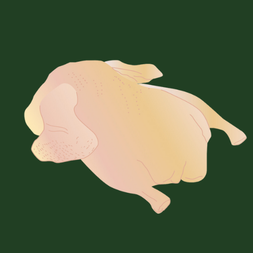 Christmas organic whole duck