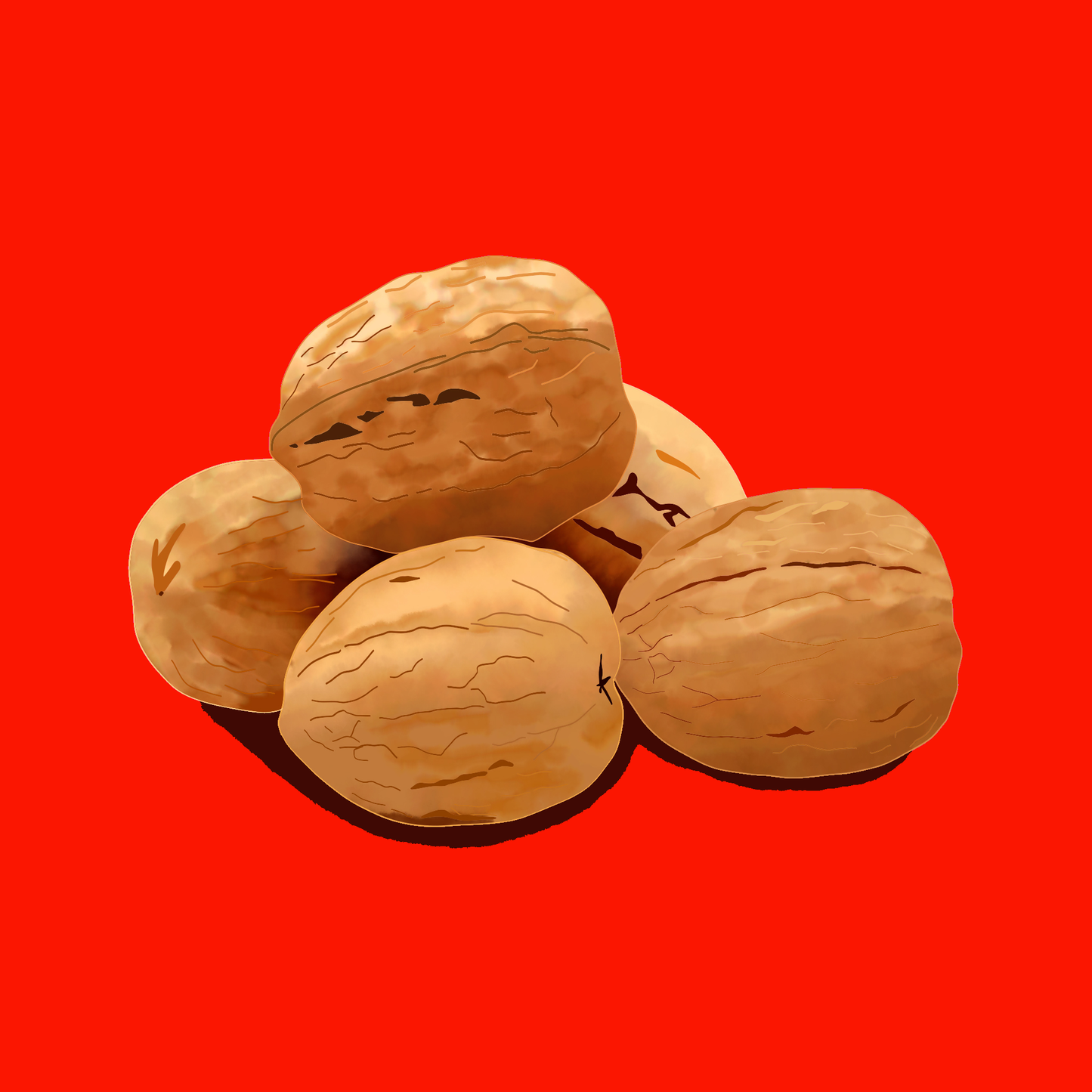 Devon grown walnuts in shell