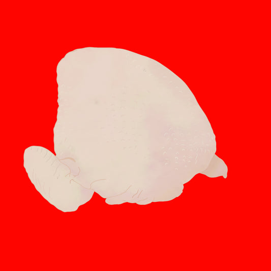 Christmas organic turkey crown