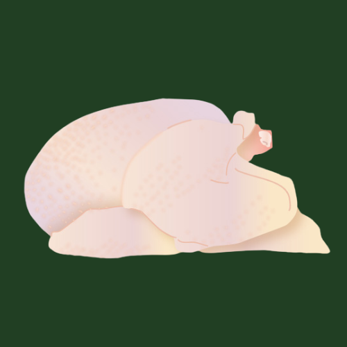 Christmas organic turkey