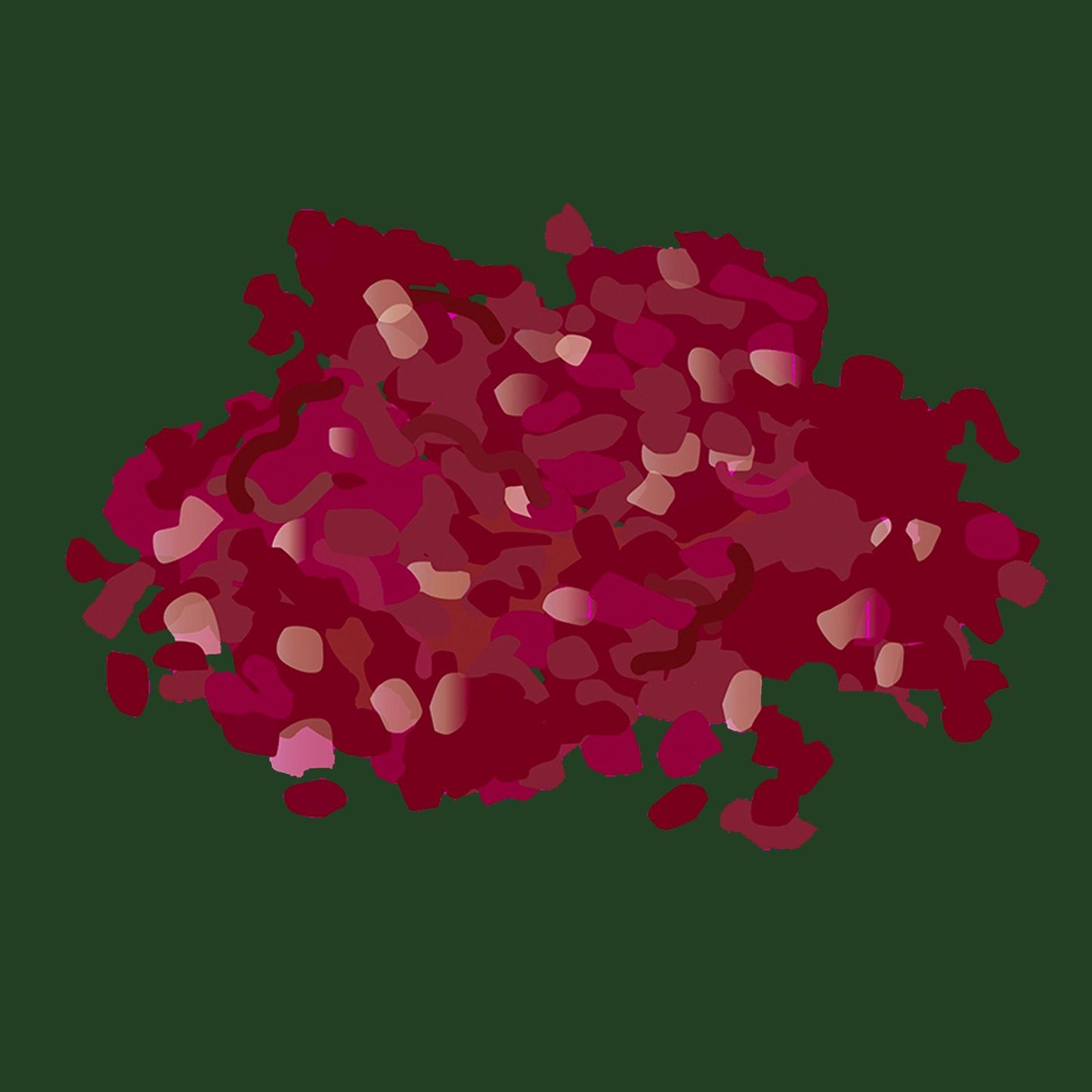 Pasture fed organic rolled beef top rump ++